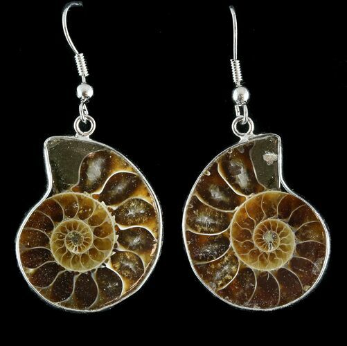 Fossil Ammonite Earrings - Million Years Old #48828